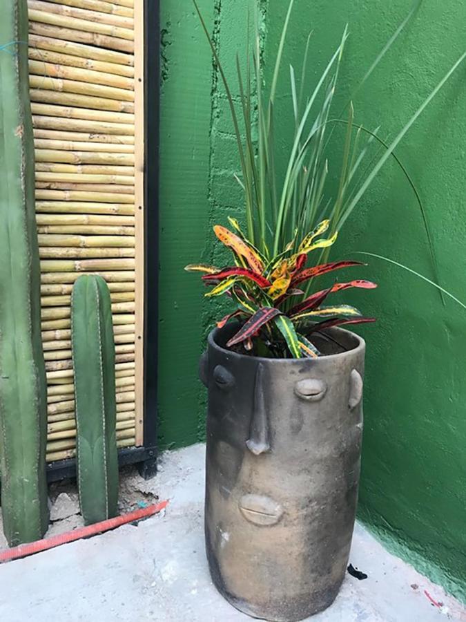 Casa Comoda Con Patio A 4 Cuadras De La Catedral. オアハカ州 エクステリア 写真