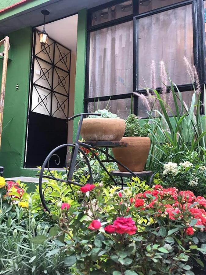 Casa Comoda Con Patio A 4 Cuadras De La Catedral. オアハカ州 エクステリア 写真