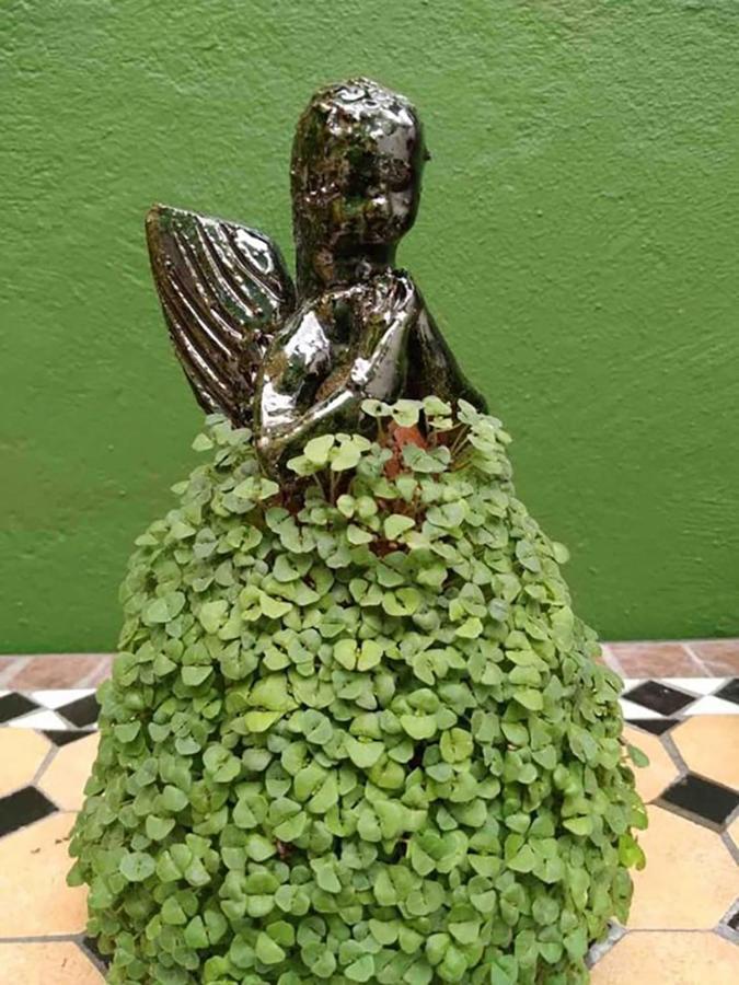 Casa Comoda Con Patio A 4 Cuadras De La Catedral. オアハカ州 エクステリア 写真